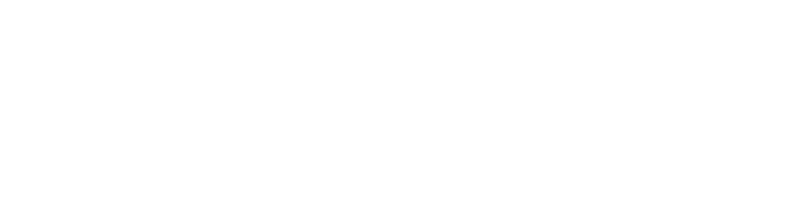 Metallicus